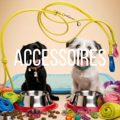 Accessoires