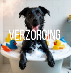 Verzorging